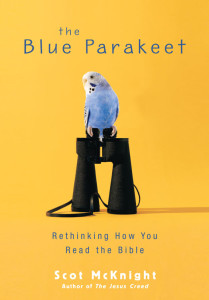 blueparakeet