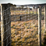 Where Real Sex Begins