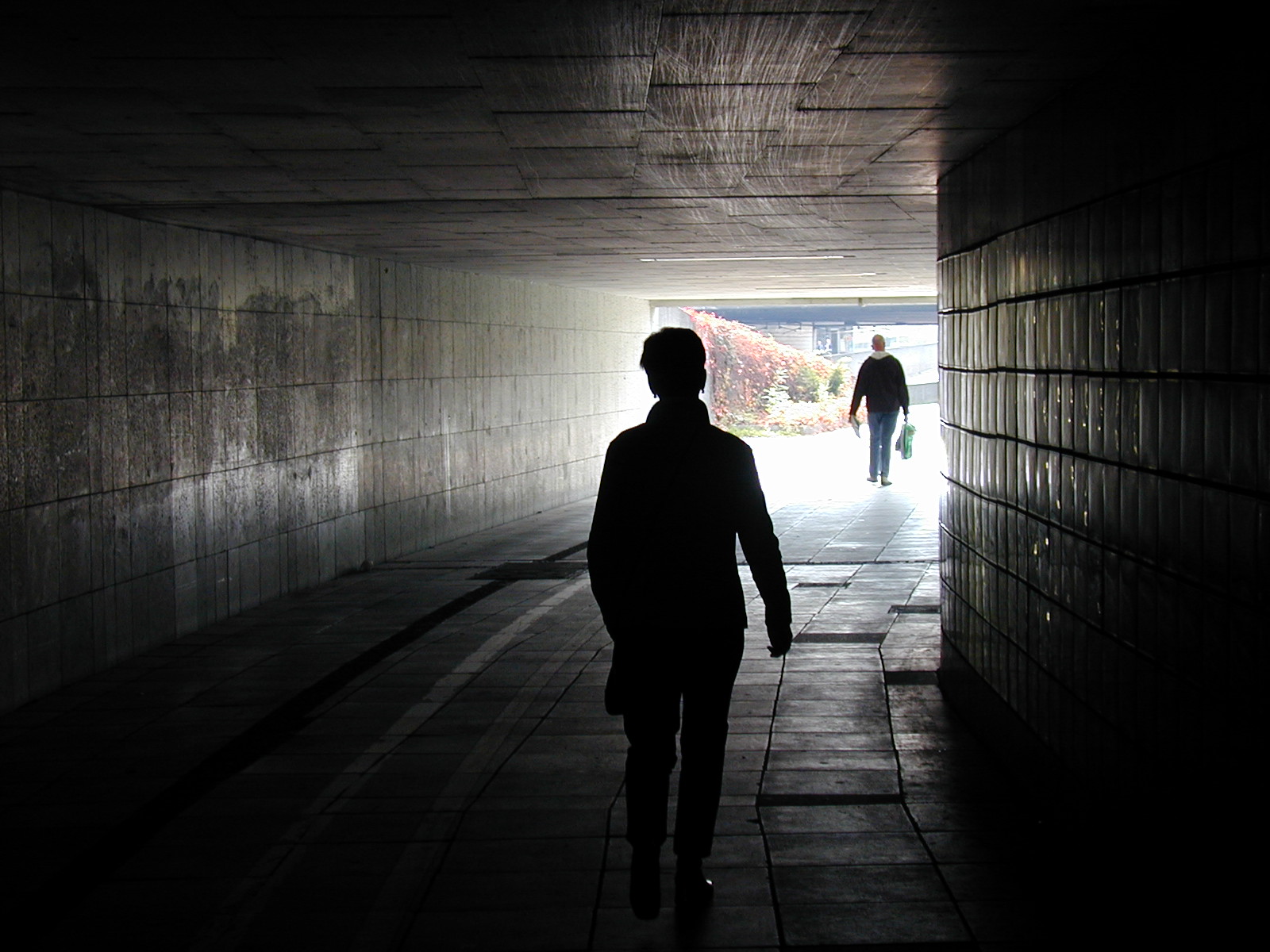 Guest Post:  Why Volunteers Matter