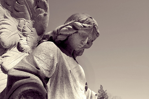 You Were Born to Obsess