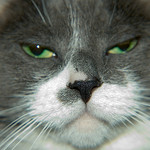 Don’t Be a Negative Nancy in 2014