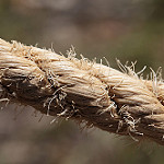 The Secret Sauce of Speaking | Tension